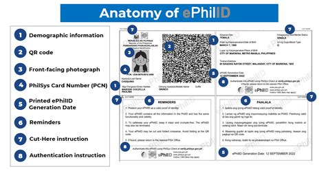 ephilid meaning